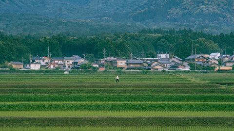 県産米
